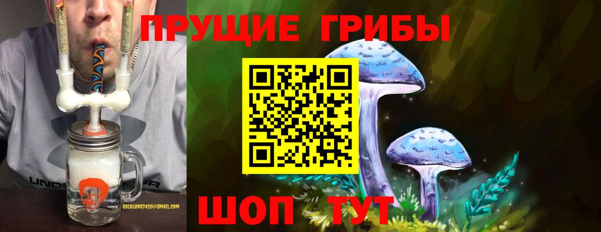 Галлюциногенные грибы прущие грибы  Вход с VPN  Белая Калитва 